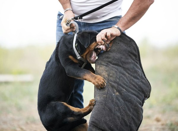 How can maintaining your vehicle's AC system improve overall safety?